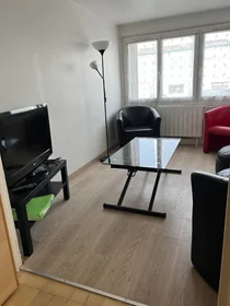 Habitación privada en Rouen, 76000, imagen 16 de 37