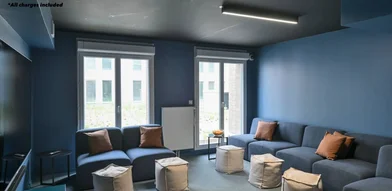 Stanza privata in residence in Villeneuve-d'Ascq, 59491, immagine 11 di 20