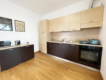 Stanza privata in VIA BERIZZI, immagine 15 di 22