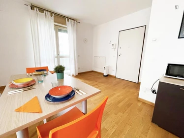 Stanza privata in VIA BERIZZI, immagine 19 di 22