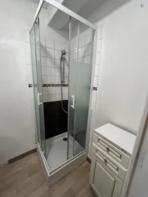 Privatzimmer in der Cours Charlemagne, bild 15 von 19