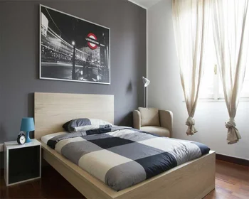 Stanza privata in Via Salvatore Barzilai, immagine 1 di 20
