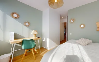 Chambre privée à 249 Avenue Jean Jaurès, image 15 de 23
