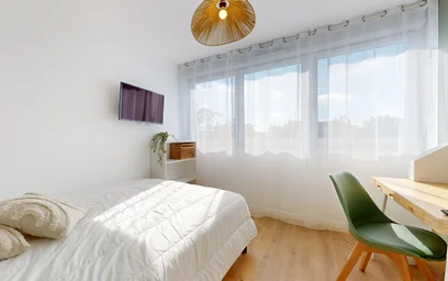 Chambre privée à 249 Avenue Jean Jaurès, image 18 de 23