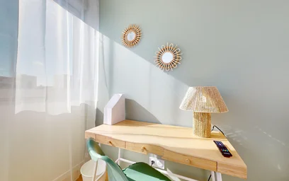 Chambre privée à 249 Avenue Jean Jaurès, image 20 de 23