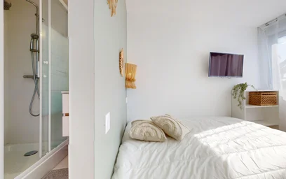 Chambre privée à 249 Avenue Jean Jaurès, image 21 de 23