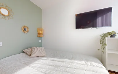 Chambre privée à 249 Avenue Jean Jaurès, image 22 de 23
