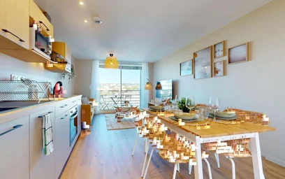 Prywatny pokój 249 Av. Jean Jaurès, 69007 Lyon, France, obraz 17 23