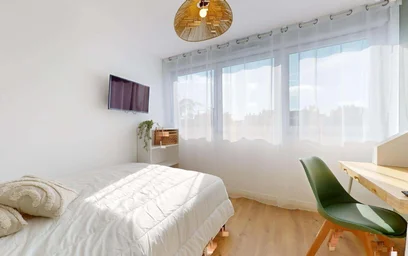 Prywatny pokój 249 Av. Jean Jaurès, 69007 Lyon, France, obraz 4 23