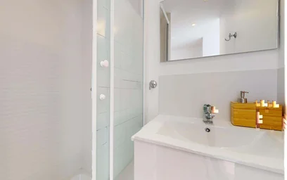 Prywatny pokój 249 Av. Jean Jaurès, 69007 Lyon, France, obraz 5 23