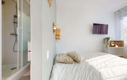 Prywatny pokój 249 Av. Jean Jaurès, 69007 Lyon, France, obraz 7 23