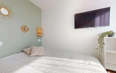 Prywatny pokój 249 Av. Jean Jaurès, 69007 Lyon, France, obraz 8 23