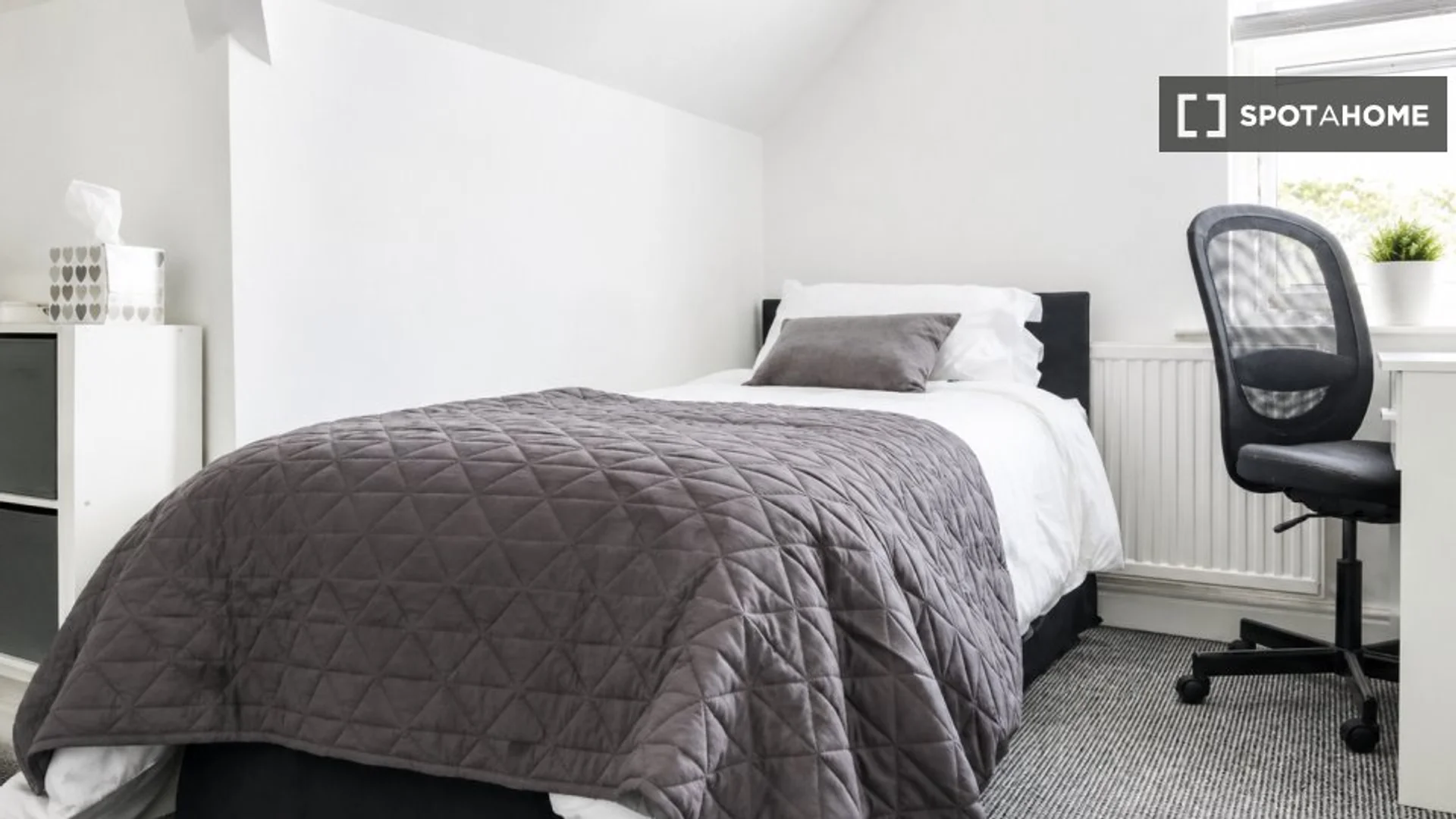 Comfortable and spacious student room in 