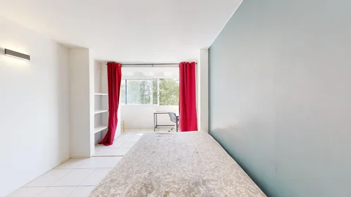 Stanza privata in 27 bis Avenue De La Trillade, immagine 15 di 26