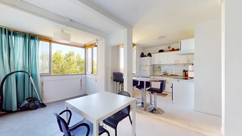 Habitación privada en 27 Avenue De La Trillade, imagen 25 de 32
