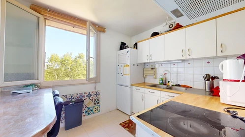 Habitación privada en 27 Avenue De La Trillade, imagen 27 de 32