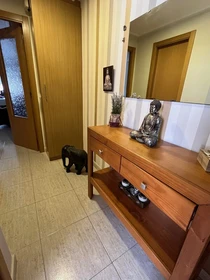 Cheap private room in San-vicente-del-raspeig-sant-vicent-del-raspeig
