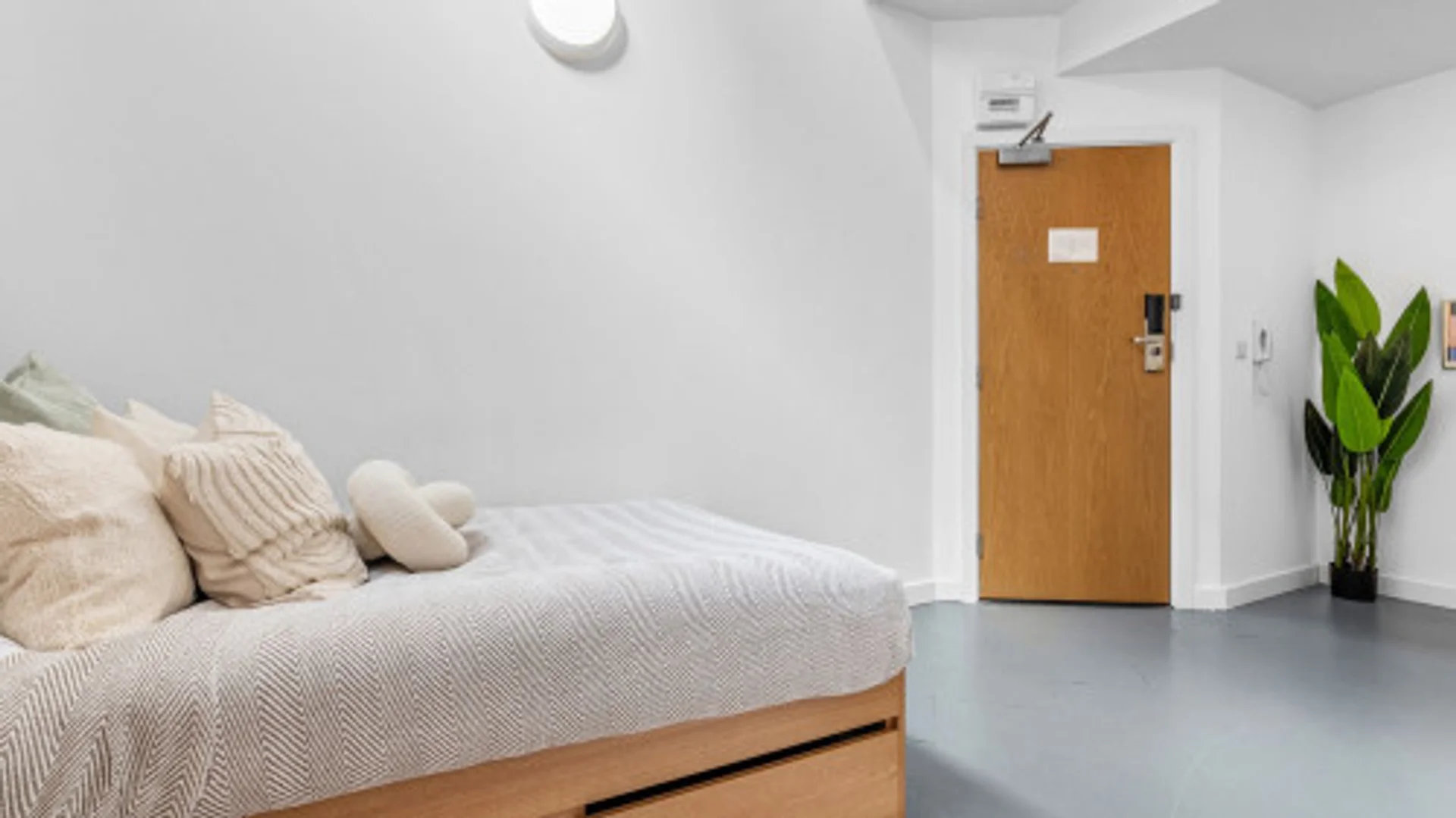 Habitación estudiantil amplia y cómoda en 