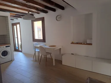 Entire apartment at Carrer dels Calderers 21, image 1 of 9