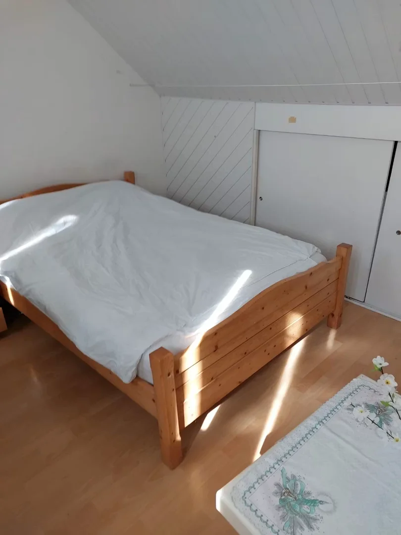 Cozy room for students available in 