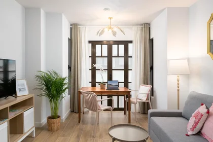 Entire apartment at Calle Caveda, El Centro, image 1 of 10
