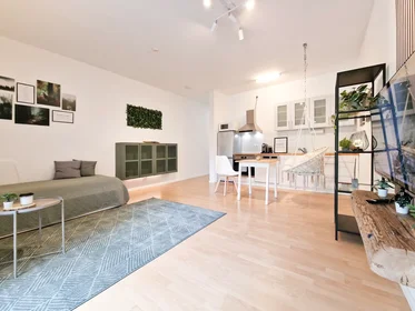 Gesamte Unterkunft in der Landgraf-Georg-Straße, Darmstadt, bild 5 von 10