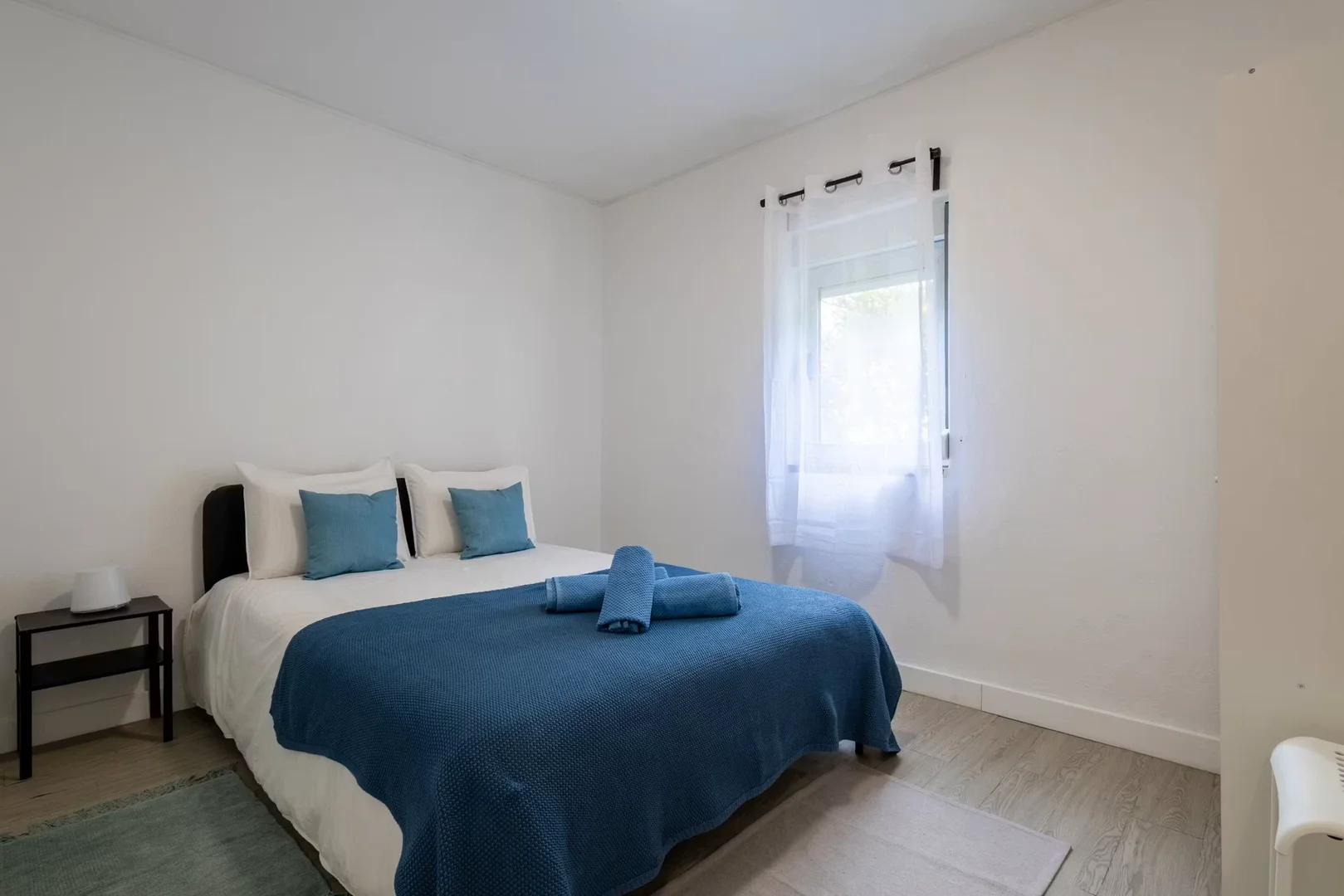 Affordable room for students with ample lighting in