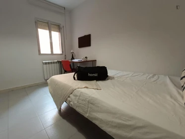 Bright private room in Getafe