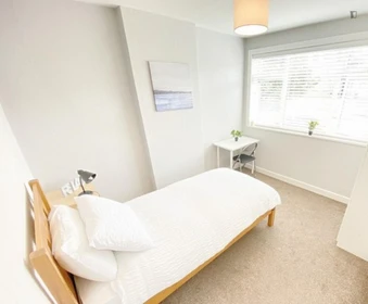 Quarto privado em Noonan Rd, The Lough, imagem 2 de 21