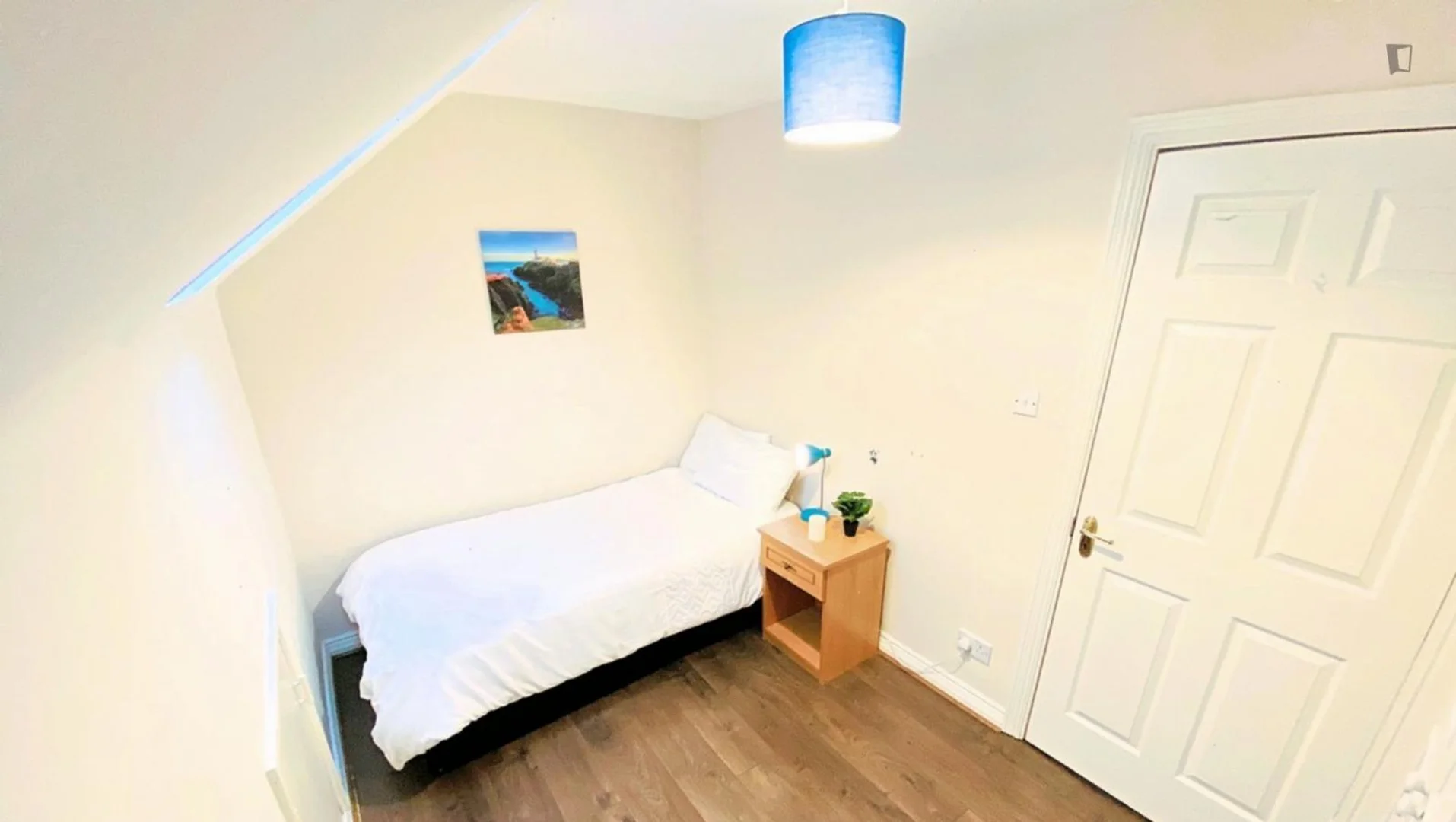 Budget-friendly student room close to campus in 