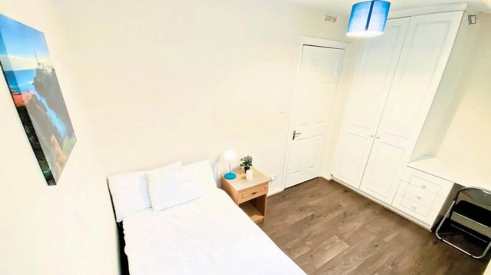 Affordable room for students with ample lighting in 