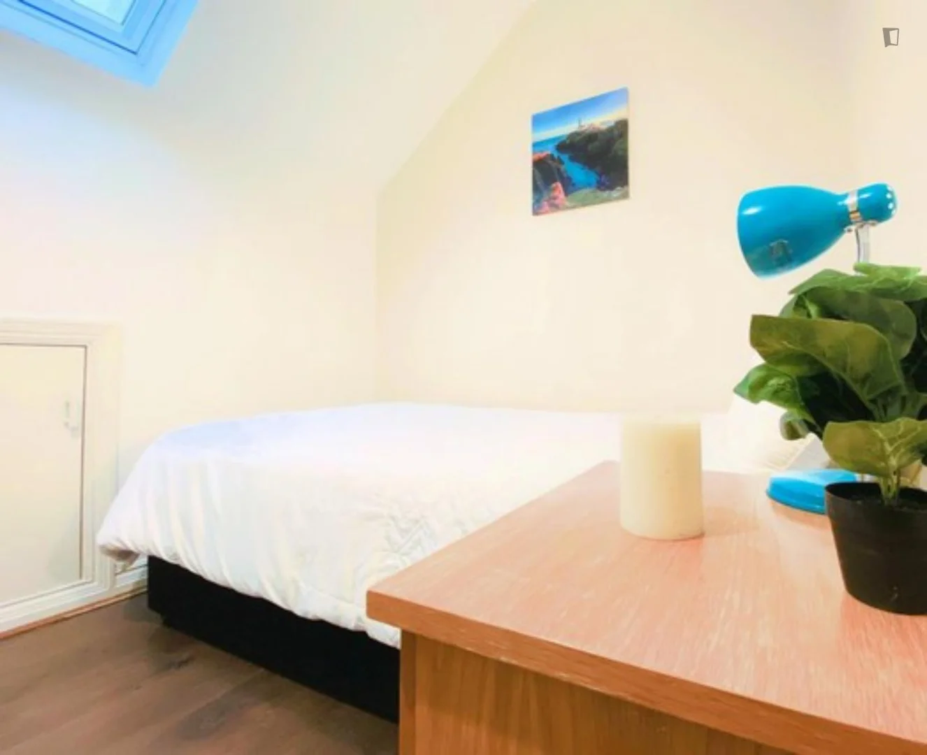 Cozy room for students available in 