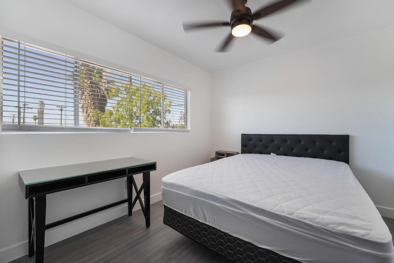 Student room in  with study area and shared facilities