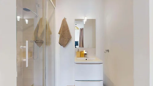 Privatzimmer in der 8 Rue Paul Bourget, 38100 Grenoble, France, bild 6 von 21