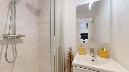 Privatzimmer in der 8 Rue Paul Bourget, 38100 Grenoble, France, bild 8 von 21