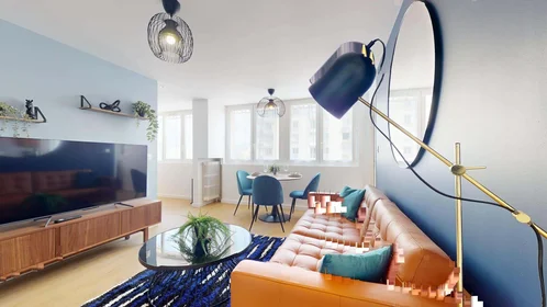 Privatzimmer in der 17 Rue Marcel Peretto, 38000 Grenoble, France, bild 12 von 23