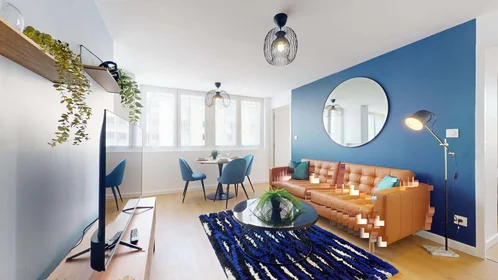 Privatzimmer in der 17 Rue Marcel Peretto, 38000 Grenoble, France, bild 13 von 23