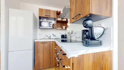 Privatzimmer in der 17 Rue Marcel Peretto, 38000 Grenoble, France, bild 16 von 23
