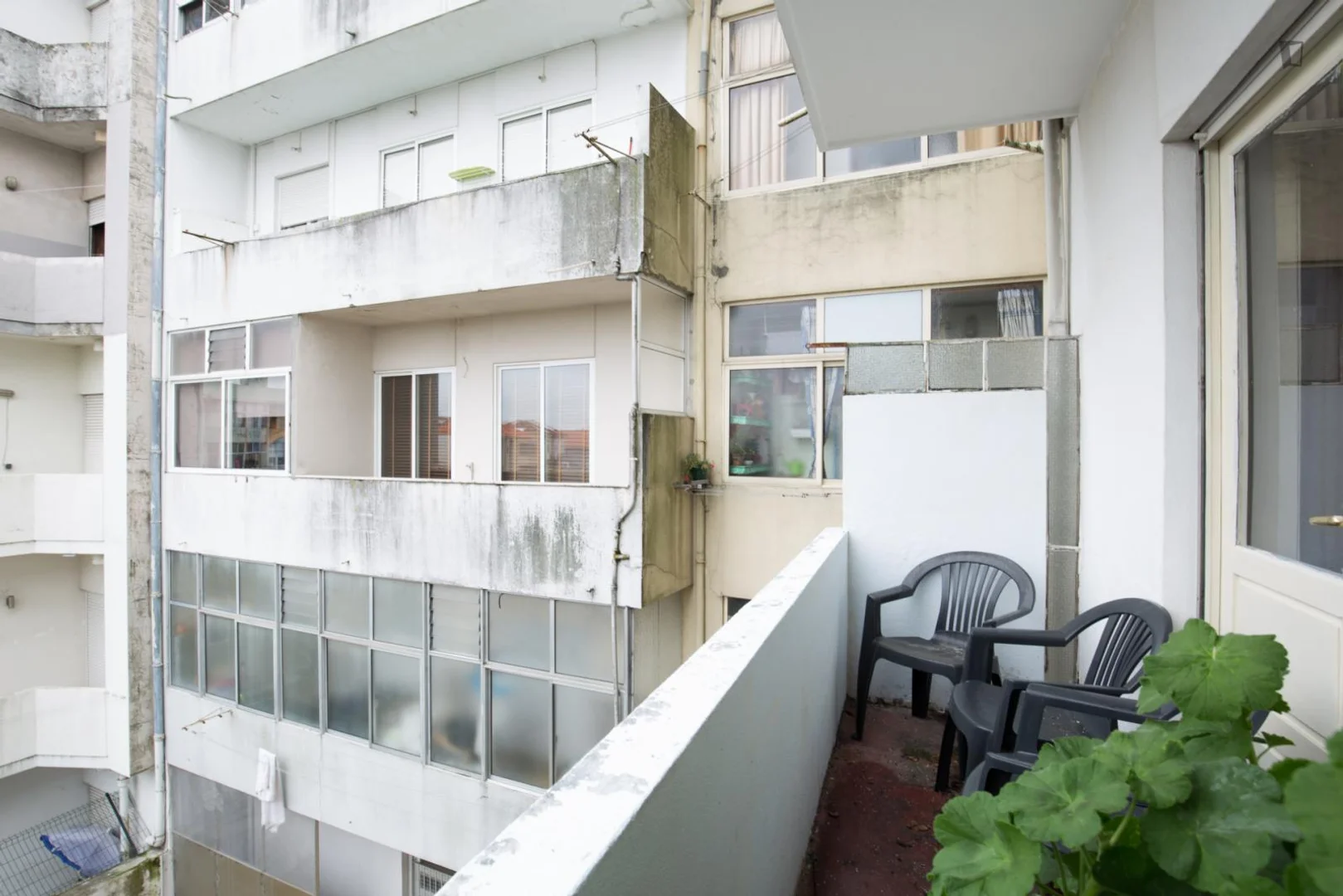 Affordable room for students with ample lighting in 