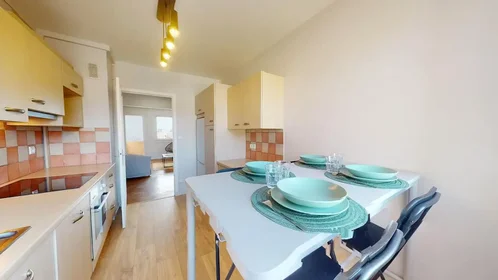Quarto privado em Avenue de l'Union Soviétique, Delille-Cathédrale-la Gare, imagem 9 de 10