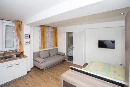 Entire apartment at Ulica Andrije Buvine 9, image 6 of 18