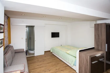 Entire apartment at Ulica Andrije Buvine 9, image 7 of 18