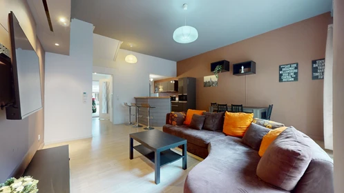 Prywatny pokój 6 Rue Charles Baudelaire, obraz 9 26