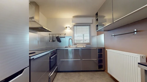 Prywatny pokój 6 Rue Charles Baudelaire, obraz 14 26