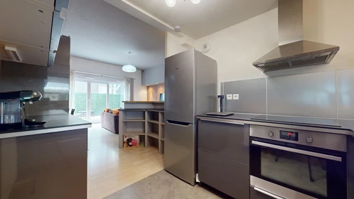 Prywatny pokój 6 Rue Charles Baudelaire, obraz 15 26