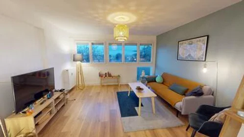 Habitación privada en 2 Rue Du Capitaine Gustave De Boissieu, imagen 1 de 10