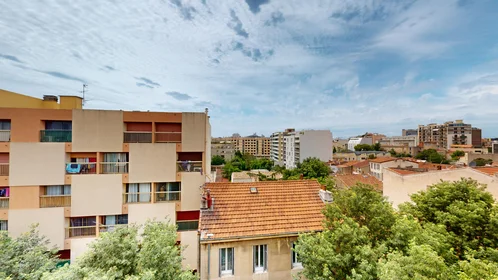Stanza privata in 76 Avenue Benjamin Delessert, immagine 14 di 23
