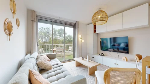 Stanza privata in 165 rue Emile Gaboriau, immagine 1 di 21