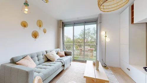 Stanza privata in 165 rue Emile Gaboriau, immagine 2 di 21