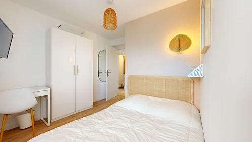 Stanza privata in 165 rue Emile Gaboriau, immagine 15 di 21